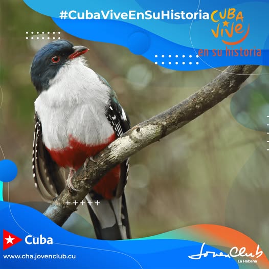 Tomado de Radio Cadena Agramonte