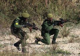 Tomada del periódico Escambray.